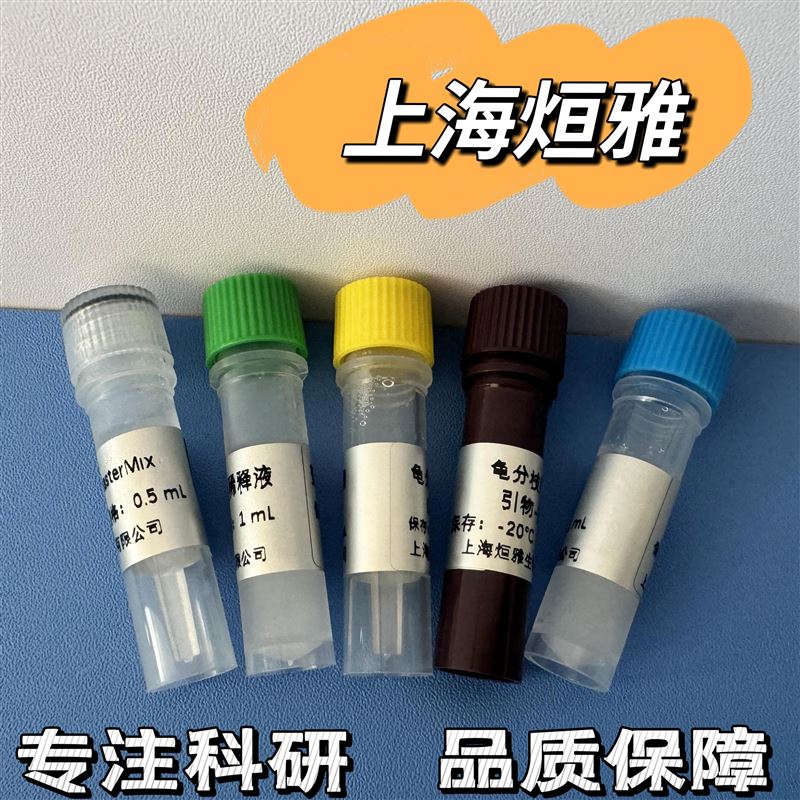 细胞增殖及细胞毒性检测试剂盒提供了简便且高效的检测方法