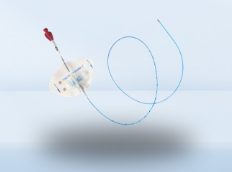 巴德中心靜脈導管的技術參數