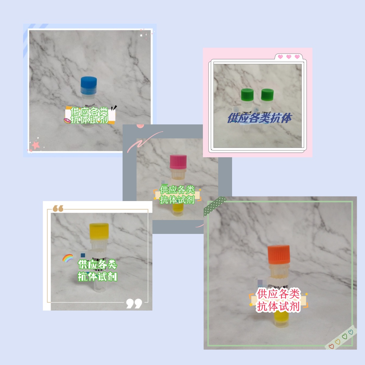 小鼠抗FITC单抗浓度是多少呢？