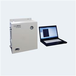 GC-216环氧乙烷浓度检测仪