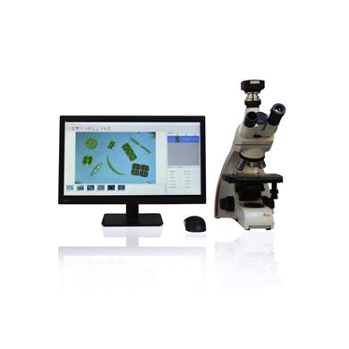 AI Algae水质藻类监测仪