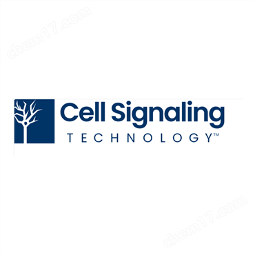 Cell Signaling Technology代理