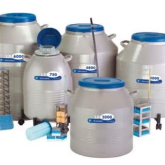 TW液氮罐小瓶存儲(chǔ)罐