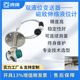 高低液位报警 防腐缆绳式磁致伸缩液位计