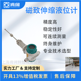 磁致伸缩式液位测量仪 上海肯阔KMY901