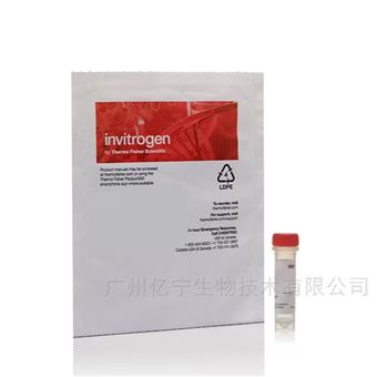 P36010pHrodo胺類標記染料