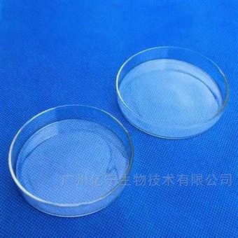 351029100mm x 15mm 未經 TC 處理的細菌培養皿