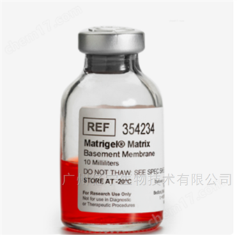 354277Matrigel hESC ES干細胞培養基質膠