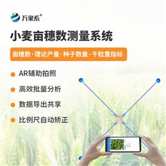 WX-XMYC小麥育種測產(chǎn)系統(tǒng)
