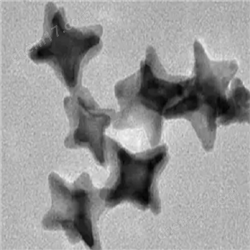 AuNSs，金纳米星，Gold Nanostars