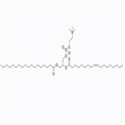 cas：56421-10-4，18:0-18:1 PC，SOPC