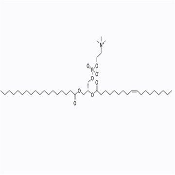 cas：56421-10-4，18:0-18:1 PC，SOPC