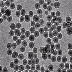 羧基磁性纳米颗粒10nm