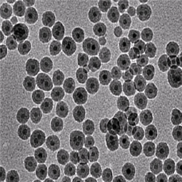 羧基磁性納米顆粒10nm