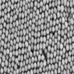 PEI修飾金納米顆粒50nm