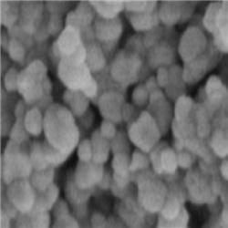 二氧化铈纳米颗粒50nm