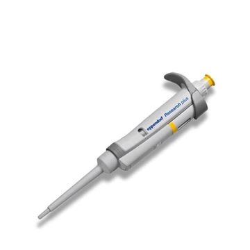 艾本德Research plus單道移液器10µL-100µL