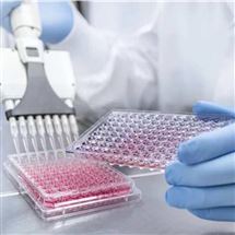 ThinCertGreiner 96孔高通量細胞培養(yǎng)篩選插件