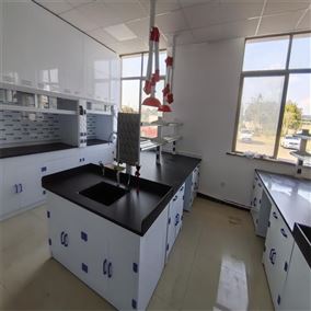 WFSX30濰坊PP實驗臺耐酸堿實驗室操作臺定制 盛翔