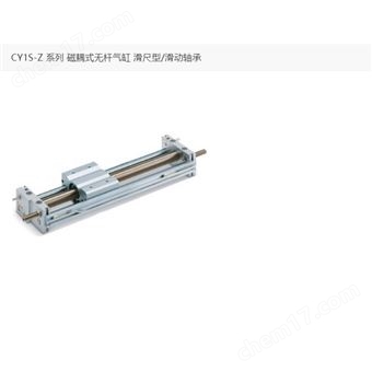 CY1L15H-100-A73LSMC  磁耦式无杆气缸