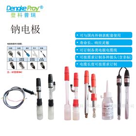 5523系列进口钠电极
