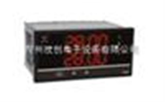 WP-D806-84-23-HLWP-D806-84-23-HL多路巡检仪