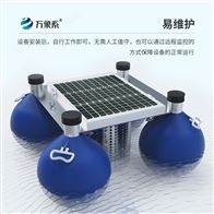 WX-SFA06浮标式在线水质监测站