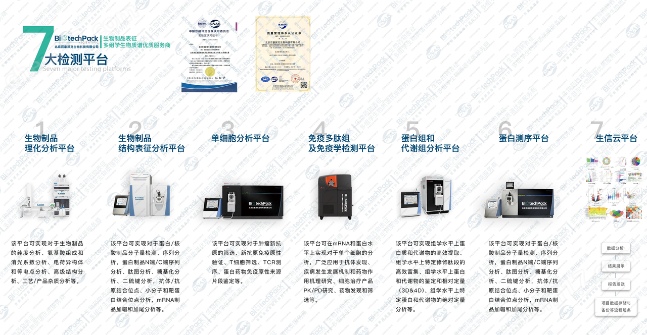 全蛋白質組分析檢測技術服務