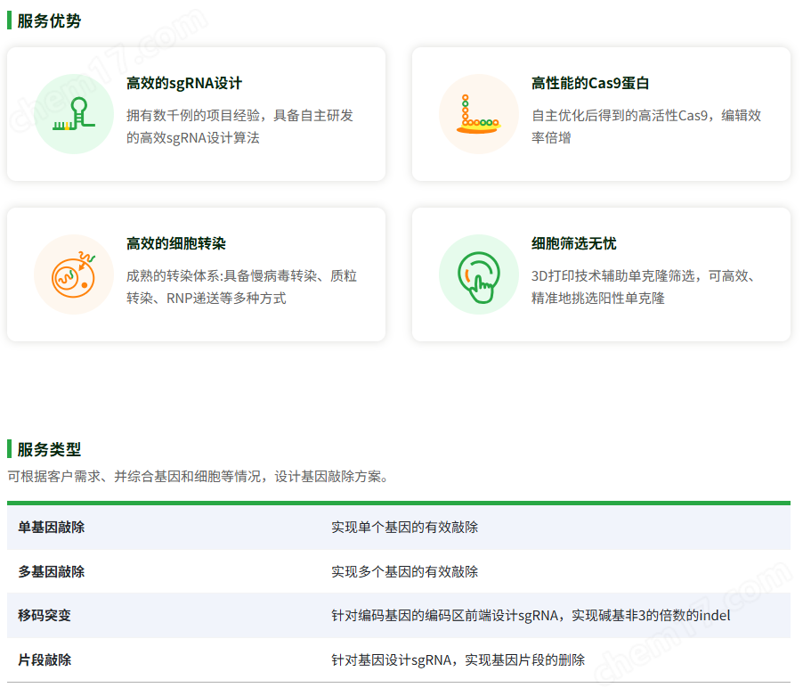 基因敲除细胞