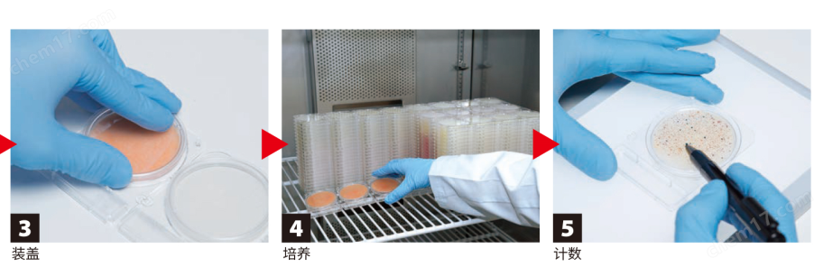 微生物快速測(cè)試片—霉菌與酵母快速型