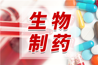 醫(yī)藥板塊呈現(xiàn)明顯結(jié)構(gòu)性修復(fù)趨勢，三條主線被看好