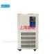 DLSB-10L/10~120℃低溫泠卻液循環(huán)泵