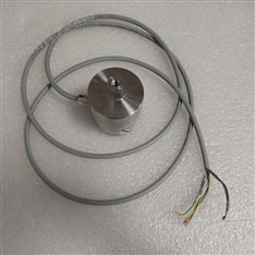 德國holthausen振動傳感器hol600