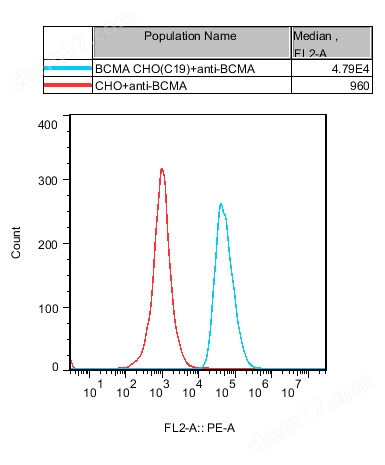BCMA CHO