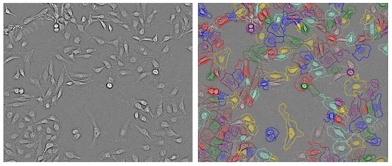 1756653082061.jpg 臺式高內(nèi)涵成像分析系統(tǒng)