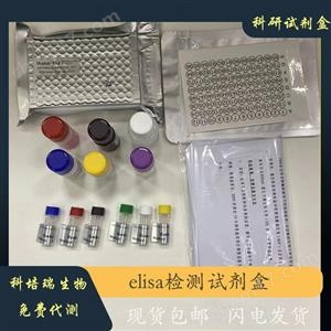 小鼠白介素28A(IL28A)elisa試劑盒KPR-H20866