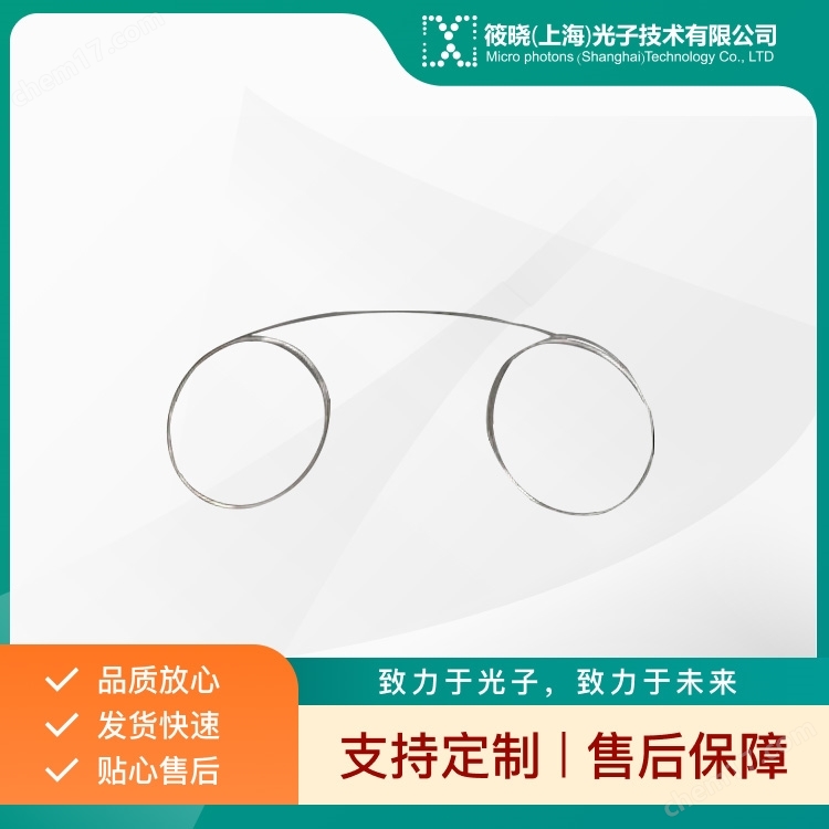 光纖光柵串（FBG器件）