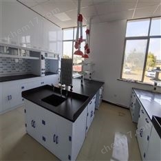 濰坊PP實(shí)驗(yàn)臺(tái)耐酸堿實(shí)驗(yàn)室操作臺(tái)定制 盛翔