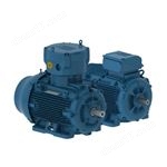 WEG原裝電機200K-4/10-01-SS611/3K 驅動器