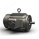 進口原裝Reuland永磁電機齒輪風冷電機