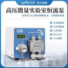 智能高壓微量實(shí)驗(yàn)室恒流泵