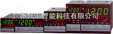 CD401FD10-M*AD温控制器RKC