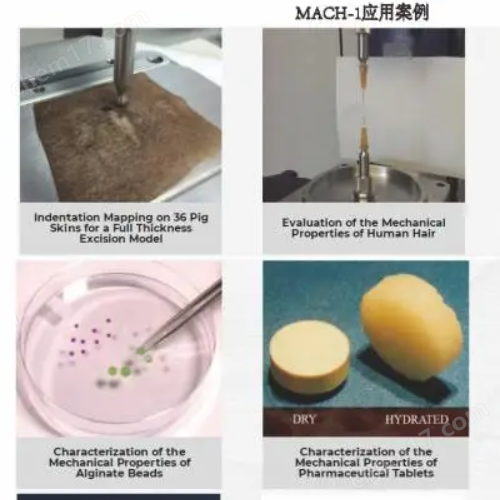 biomomentum mach-1生物組織微觀力學(xué)測試儀