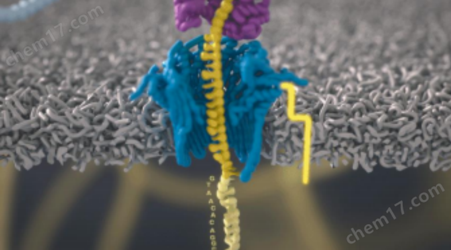 納米孔三代測序儀PromethION 2 Solo