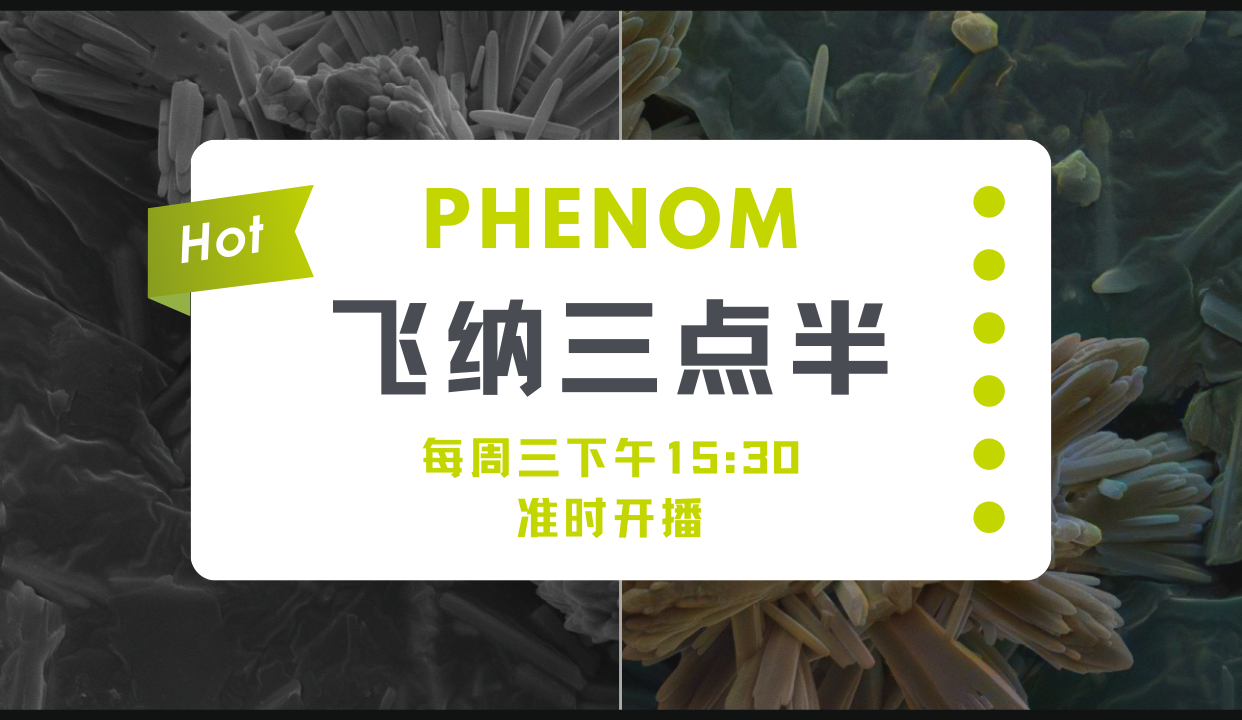 地圖式譜圖+彩色成像，原來(lái)掃描電鏡還能這么玩！