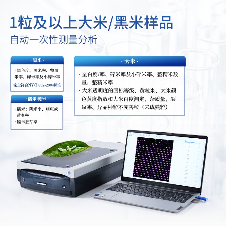 视觉革命：高精度大米外观品质检测仪实现无瑕疵挑选