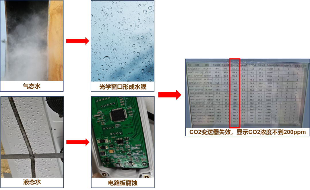 四方光电抗高湿红外CO?变送器，让菌菇房CO?监测不再“湿”败