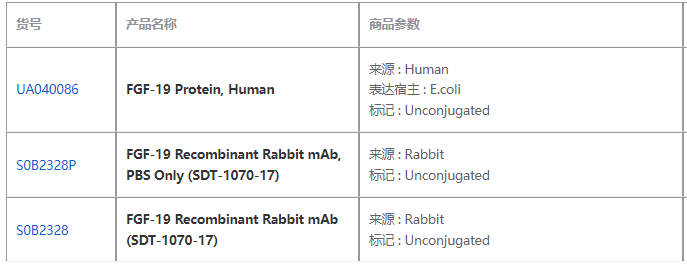 成纤维细胞生长因子19：从肠道激素到代谢治疗新星的全面探索