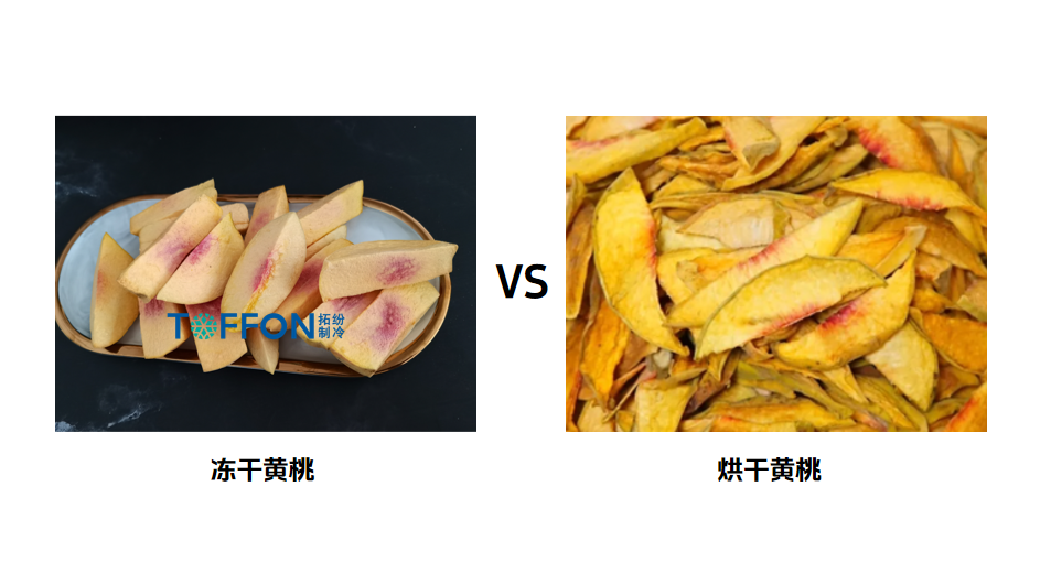 65e513c9-24e0-4d00-861d-c9bb05236294