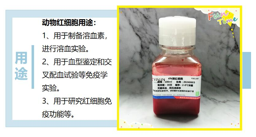 新鲜红细胞与醛化红细胞：生命活性与工程稳定的抉择